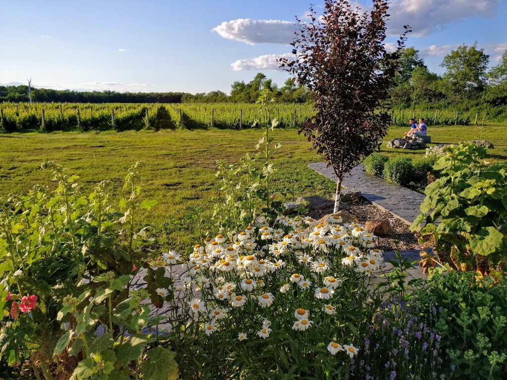 Sugarbush Vineyards & Winery | 1286 Wilson Rd, Hillier, ON K0K 2J0, Canada | Phone: (613) 399-9000