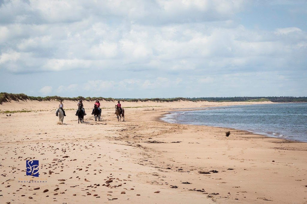 Lakeside Trail Rides | 760 Lakeside Rd, Morell, PE C0A 1S0, Canada | Phone: (902) 652-2396
