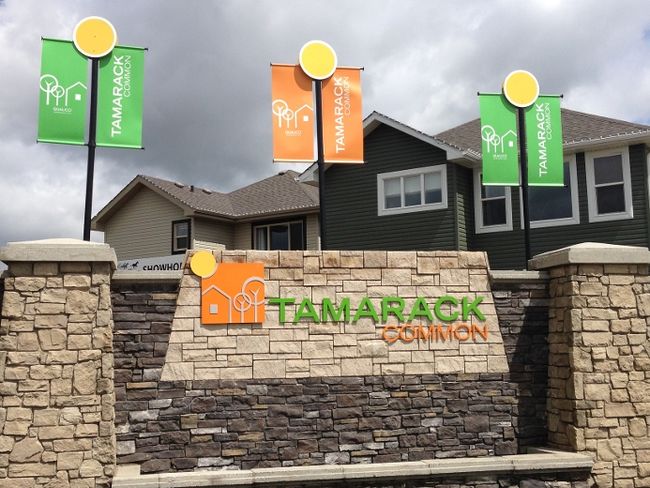 Link Insurance Agency Ltd. | 1316 26 Ave NW, Edmonton, AB T6T 0V9, Canada | Phone: (780) 395-9494