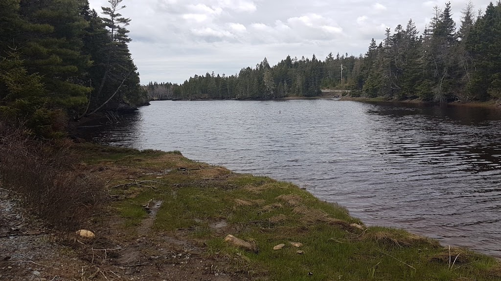 Indian Path Common Hiking Trail | Fish Peddler Rd, Riverport, NS B4V 2H1, Canada