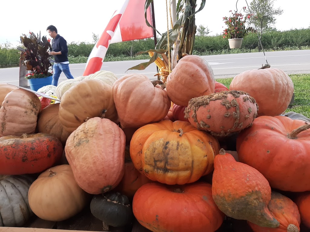 Niagara Quality Fruit | 667 Regional Rd 87, Niagara-on-the-Lake, ON L0S 1J0, Canada | Phone: (905) 347-3700