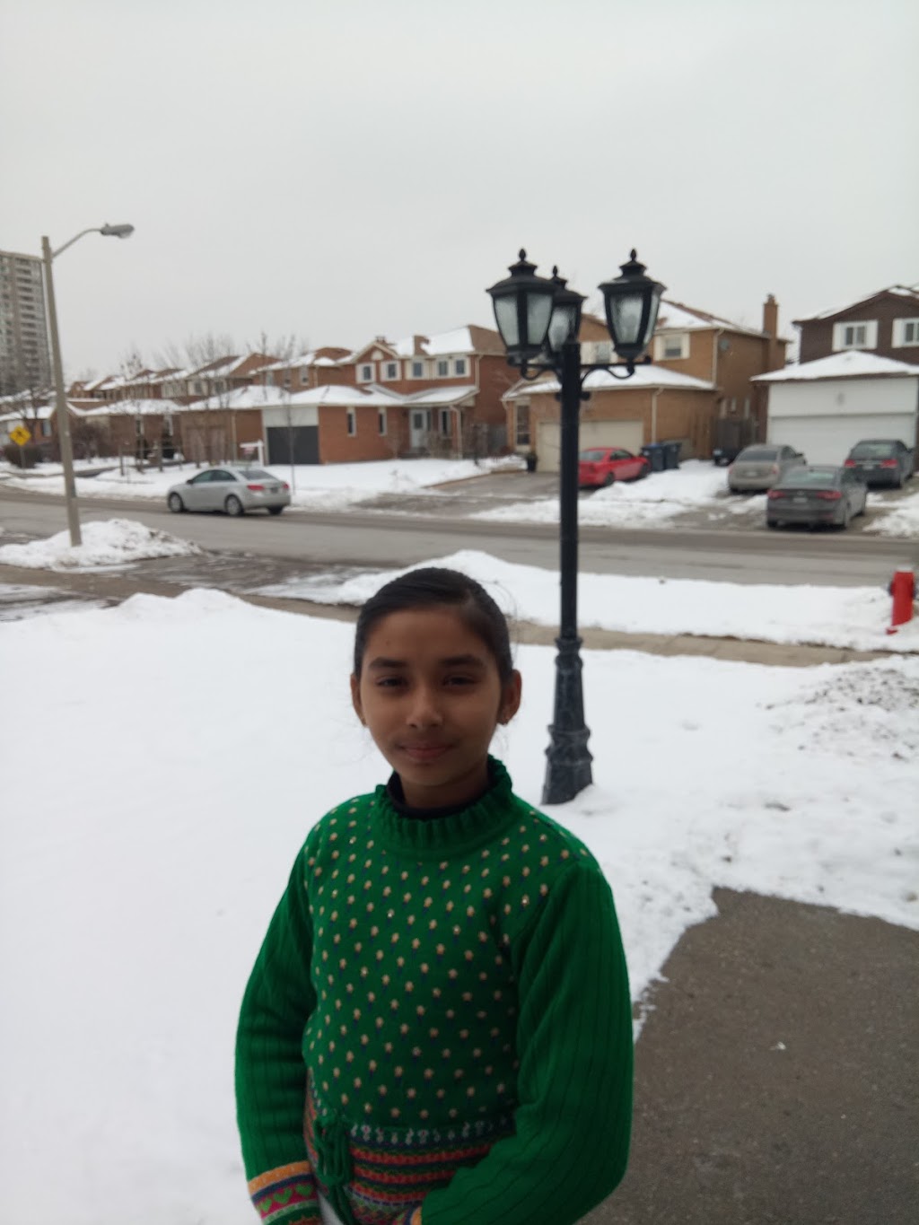 Merganser Park | 37-39 Merganser Crescent, Brampton, ON L6W 4G1, Canada