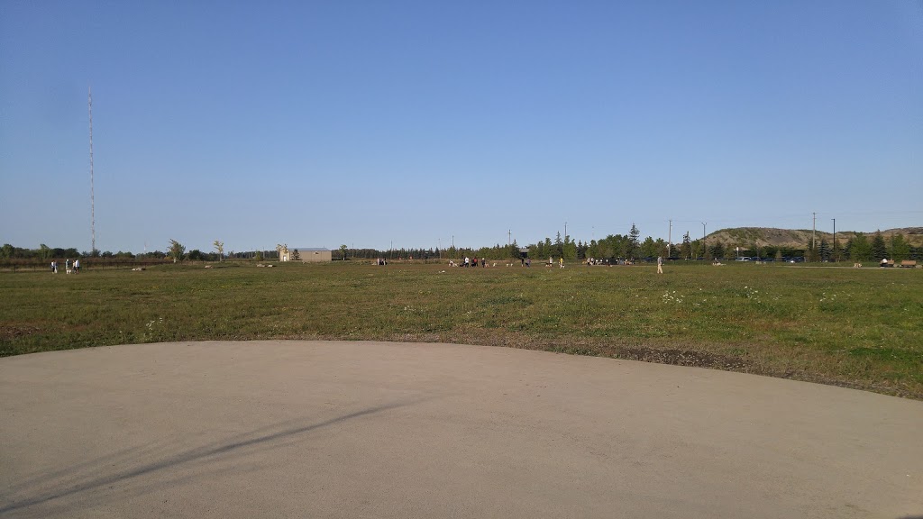 SYNLawn ® New Mexico