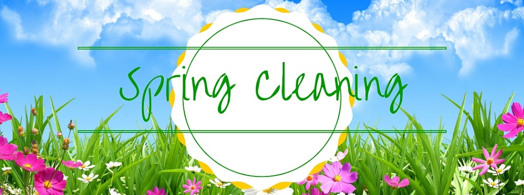 Mighty Maids Cleaning Services | Michelles Way, Hagersville, ON N0A 1H0, Canada | Phone: (647) 921-6243