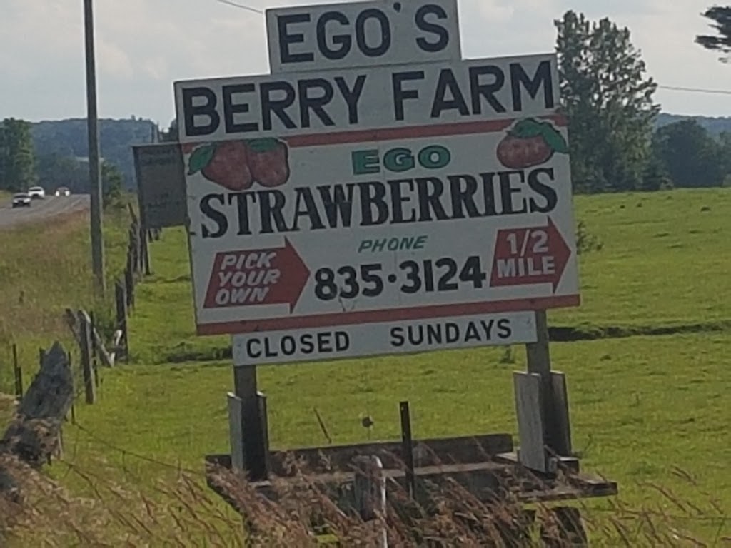 Egos Berry Farm | 3608 9 Line N, Coldwater, ON L0K 1E0, Canada | Phone: (705) 835-3124