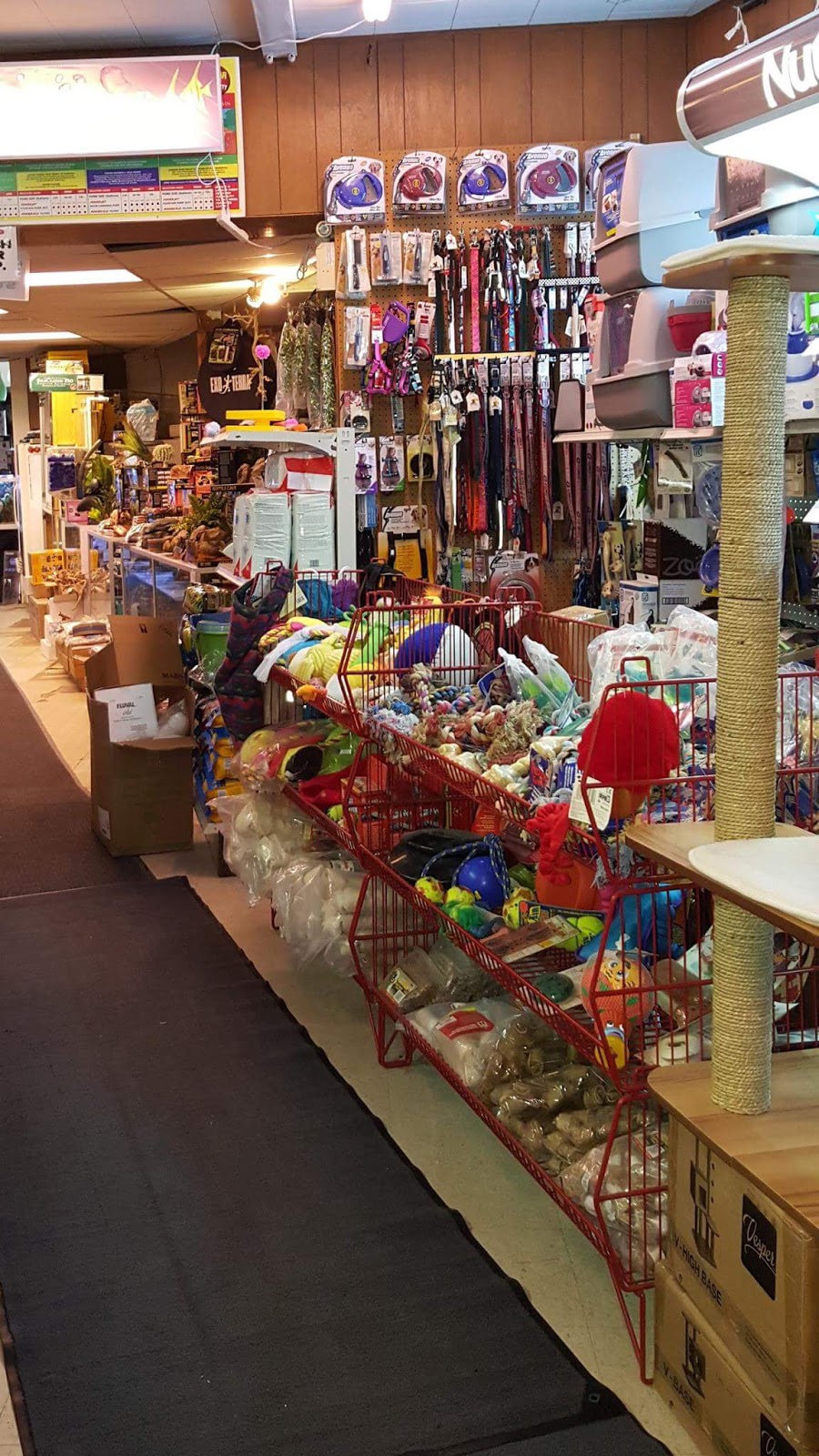 Bird Shop & Aquariums | 1034 Main St, Winnipeg, MB R2W 3R1, Canada | Phone: (204) 582-1370