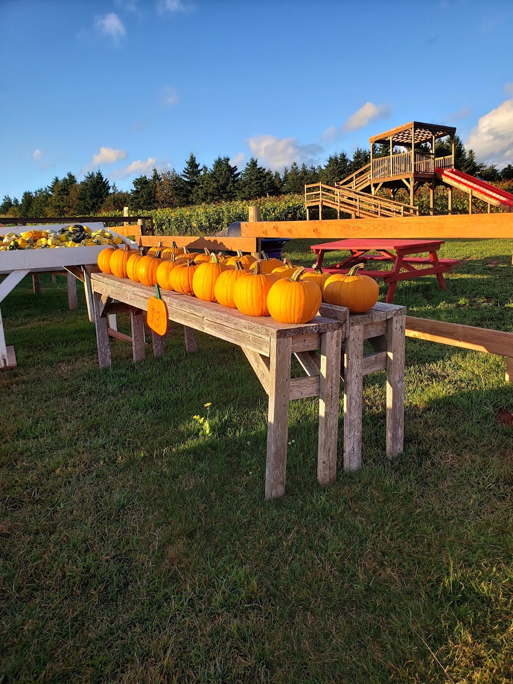 Fortune Bridge Farms & Tobys Farm Market | 1444 Veterans Memorial Hwy, Souris, PE C0A 2B0, Canada | Phone: (902) 215-0219