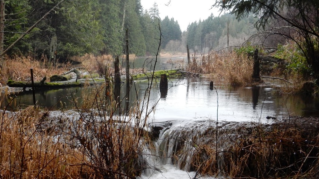 Linley Valley Cottle Lake Park | 3669 Rock City Rd, Nanaimo, BC V9T 1T6, Canada | Phone: (250) 756-5200