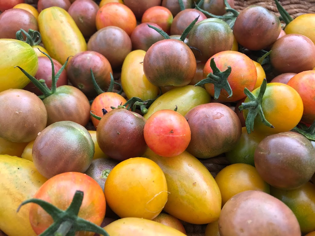 Ryans Market Gardens | 6705 Appleby Line, Burlington, ON L7M 0P8, Canada | Phone: (289) 442-5035