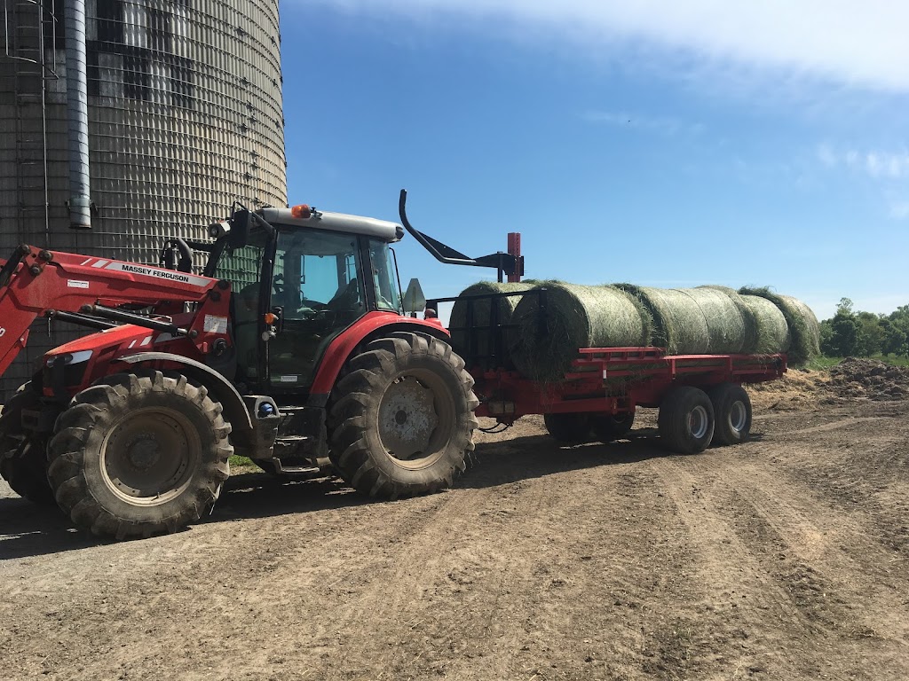 Trevor Beatty bale wrapping | 1353 Concession Rd 13, Cannington, ON L0E 1E0, Canada | Phone: (705) 344-4916
