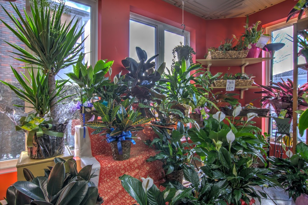 Fleuriste Lijenthem | 752 Rue du Conseil, Sherbrooke, QC J1G 1L2, Canada | Phone: (819) 562-6254