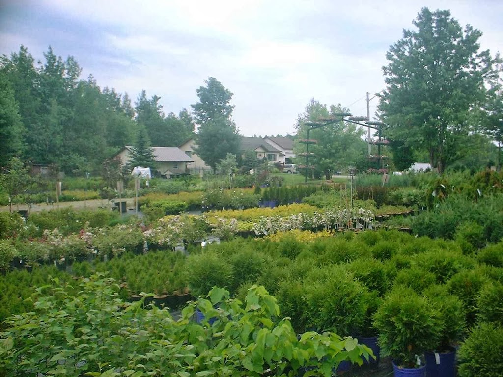 Pépinière Amanda-Joe | 275 Chemin Laberee, Sawyerville, QC J0B 3A0, Canada | Phone: (819) 889-3214