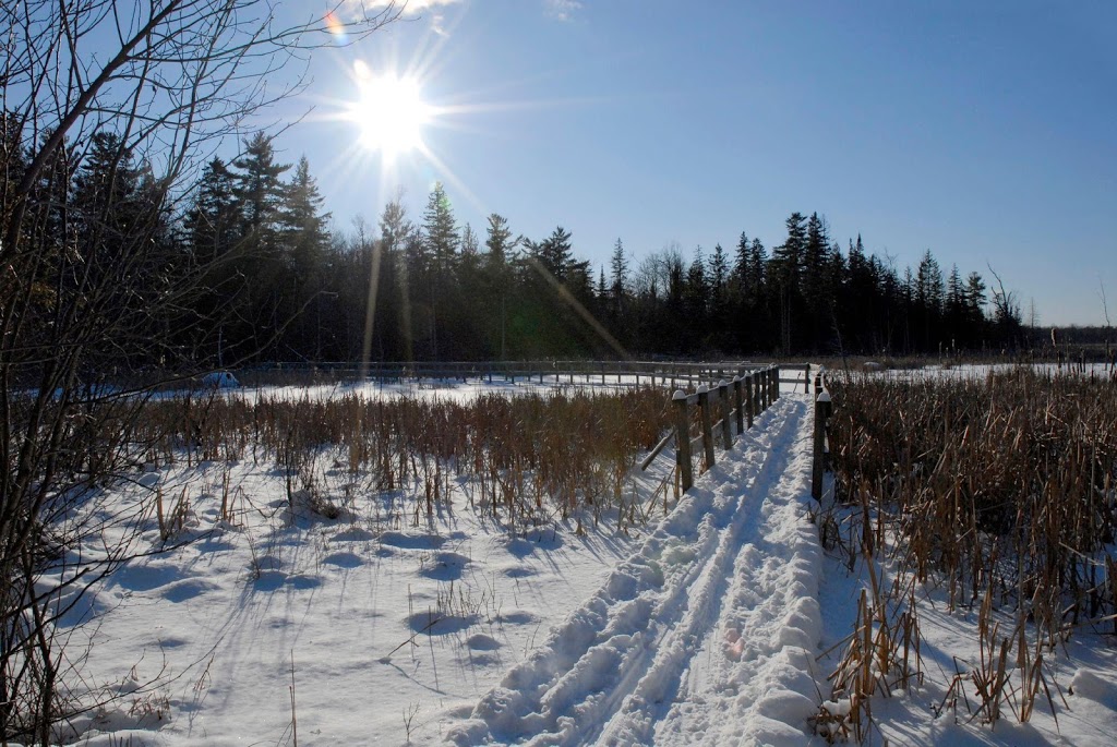 Stoney Swamp | Shirleys Bay, Ottawa, ON K2H 6H1, Canada | Phone: (613) 239-5000