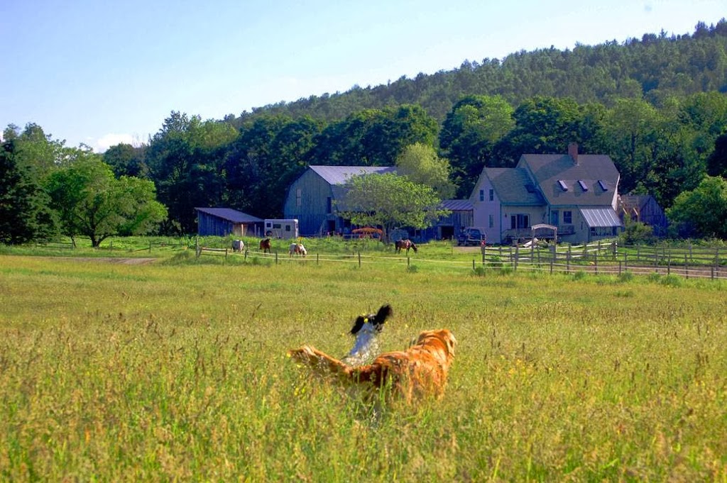 Greenhope Farm | 2478 Wylie Hill Rd., Wylie Hill Rd, Craftsbury Common, VT 05827, USA | Phone: (802) 586-7577