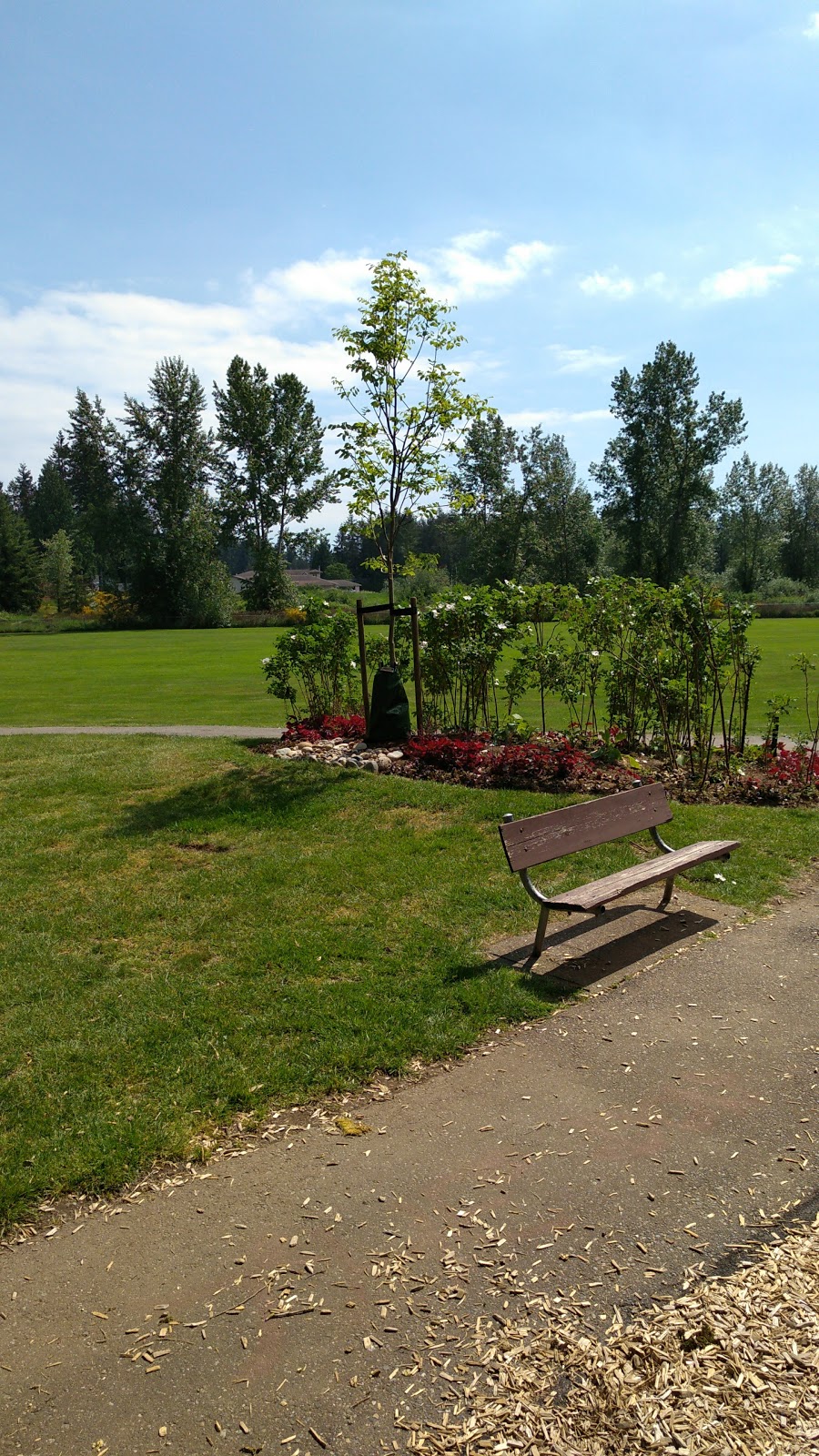 Bell Park | 205b St, Langley City, BC V3A 2P1, Canada | Phone: (604) 532-7350