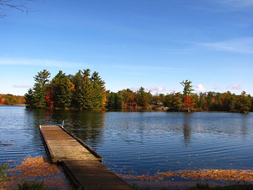 Bos Lakeside Resort | 247 Dunette Landing Rd, Roseneath, ON K0K 2X0, Canada | Phone: (416) 996-1770
