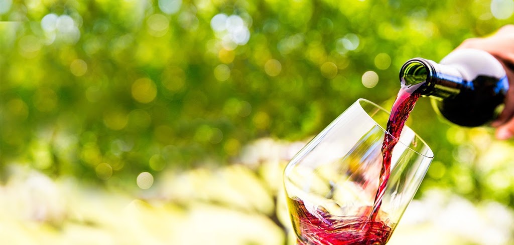 Vine To Wine | 45778 Gaetz St, Chilliwack, BC V2R 4E5, Canada | Phone: (604) 824-8686