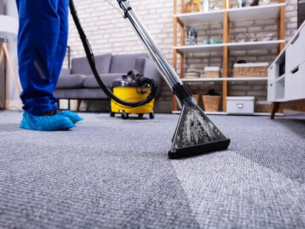 Savemore Enterprizes | 117 Crimson Ct, Blackfalds, AB T4M 0A7, Canada | Phone: (403) 304-0919