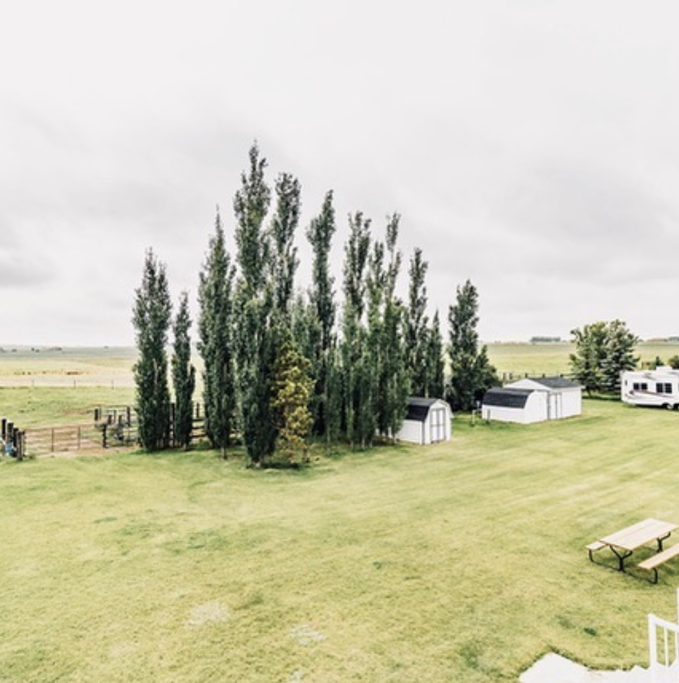 Heart & Sold, REALTORS, RE/MAX Real Estate (Central) | 2411 4 St NW, Calgary, AB T2M 2Z8, Canada | Phone: (403) 990-4962