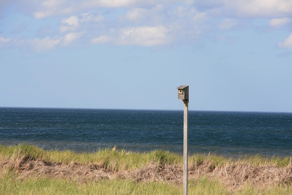 Irving Eco-centre, la Dune de Bouctouche | 1876 NB-475, Saint-Édouard-de-Kent, NB E4S 4W9, Canada | Phone: (506) 743-2600