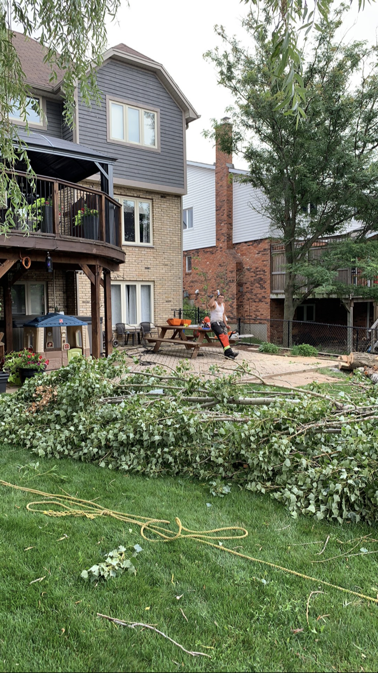RTE Stump Grinding And Tree Services | 5269 Steeles Ave W, Milton, ON L9E 0R6, Canada | Phone: (905) 699-5029