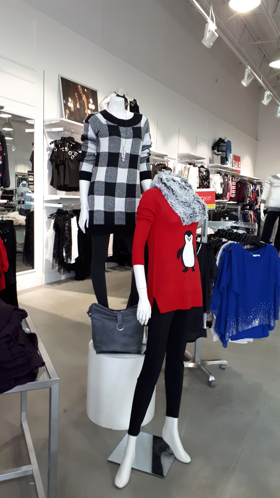 Cleo Rickis | Bedford Commons Plaza, 181 Damascus Rd #4A, Bedford, NS B4A 0C2, Canada | Phone: (902) 835-3479