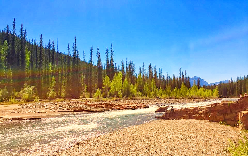 Crescent Falls Provincial Recreation Area | Clearwater County, AB T0M 2H0, Canada | Phone: (855) 721-3975
