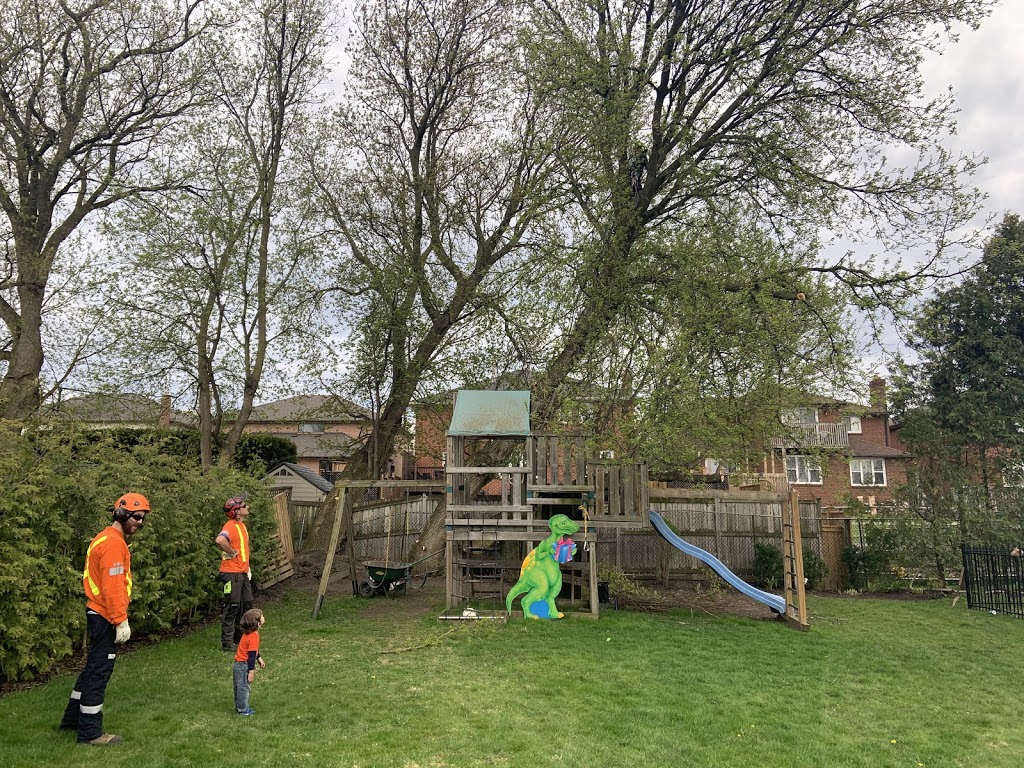 Active Tree Care | 000 Nash Rd, Courtice, ON L1E 2J9, Canada | Phone: (289) 356-1466