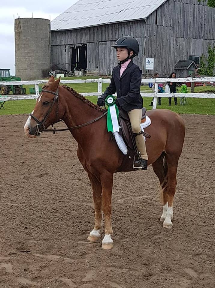 Seven Pines Stables | 1297 Eldon Rd, Kawartha Lakes, ON K0M 2M0, Canada | Phone: (705) 953-9602