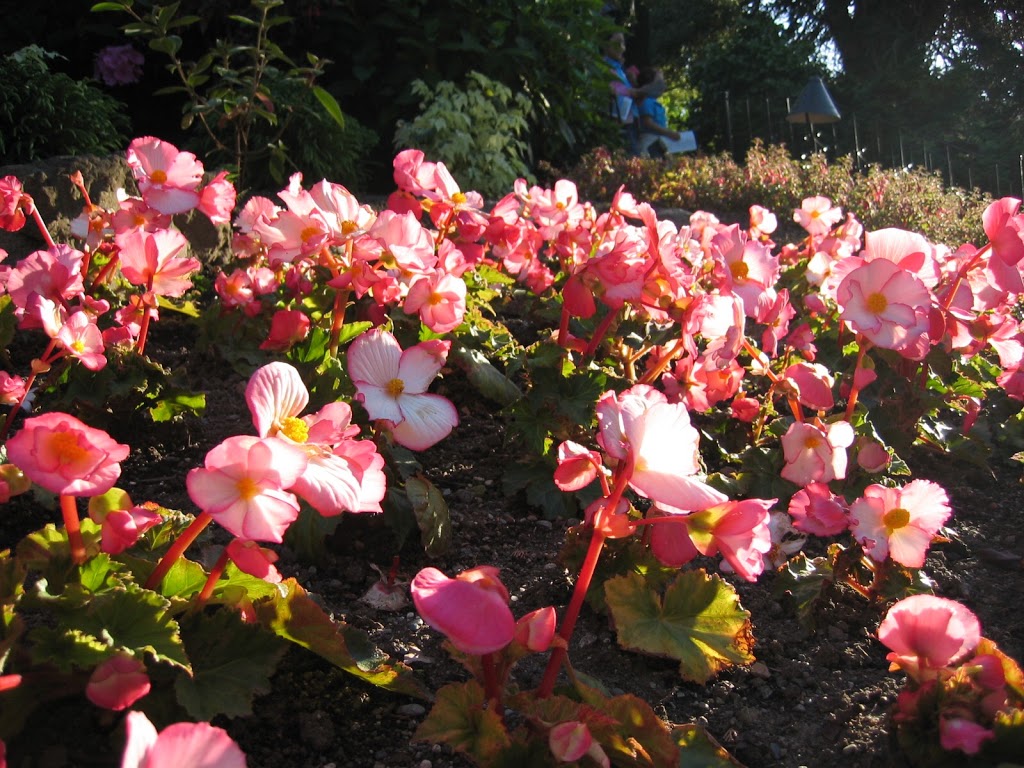 Italian Garden | Brentwood Bay, BC V8M 1J8, Canada