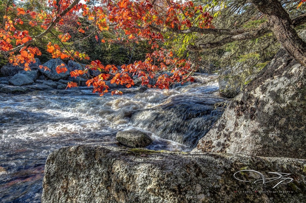 The Brook | 445 W Pennant Rd, West Pennant, NS B3V 1M2, Canada