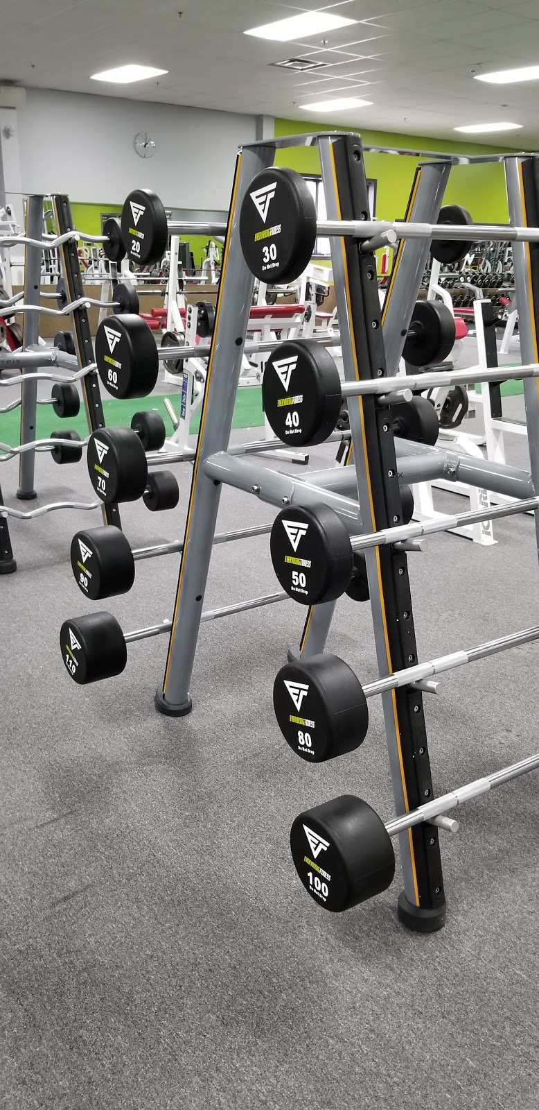Everything Fitness | 259 Grange Rd Unit #3, Guelph, ON N1E 6R5, Canada | Phone: (519) 763-4422