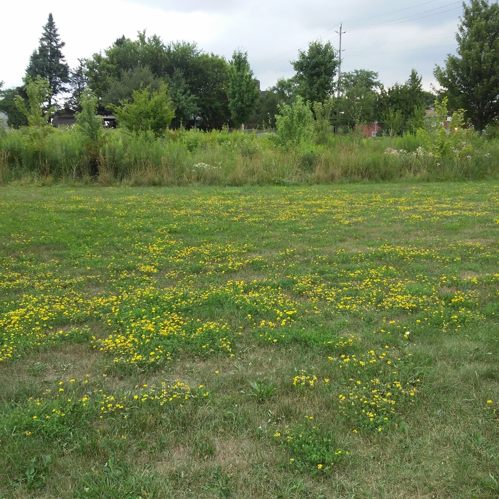 McCormick Park | 39 Connaught Ave, London, ON N5Y 3A6, Canada | Phone: (519) 661-2489