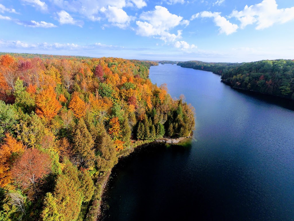 Gould Lake Conservation Area | 1540 Gould Lake Rd, Sydenham, ON K0H 2T0, Canada | Phone: (613) 546-4228