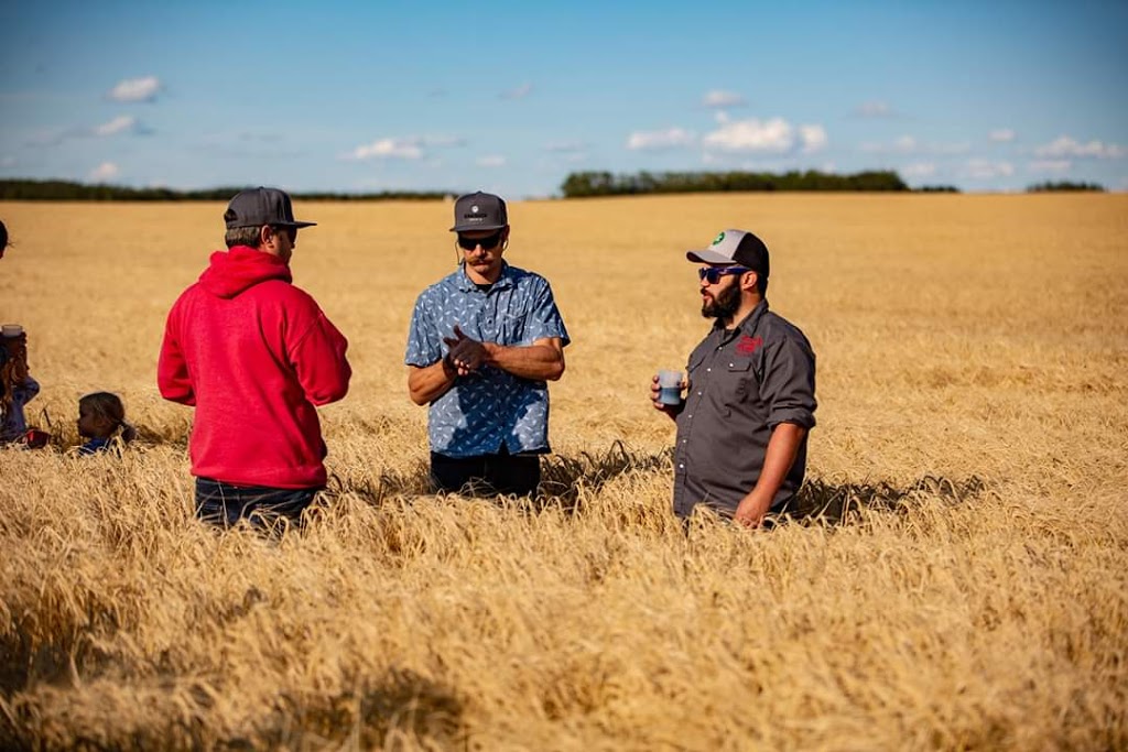 Red Shed Malting | 36501 Range Rd 275, Penhold, AB T0M 1R0, Canada | Phone: (403) 506-3399
