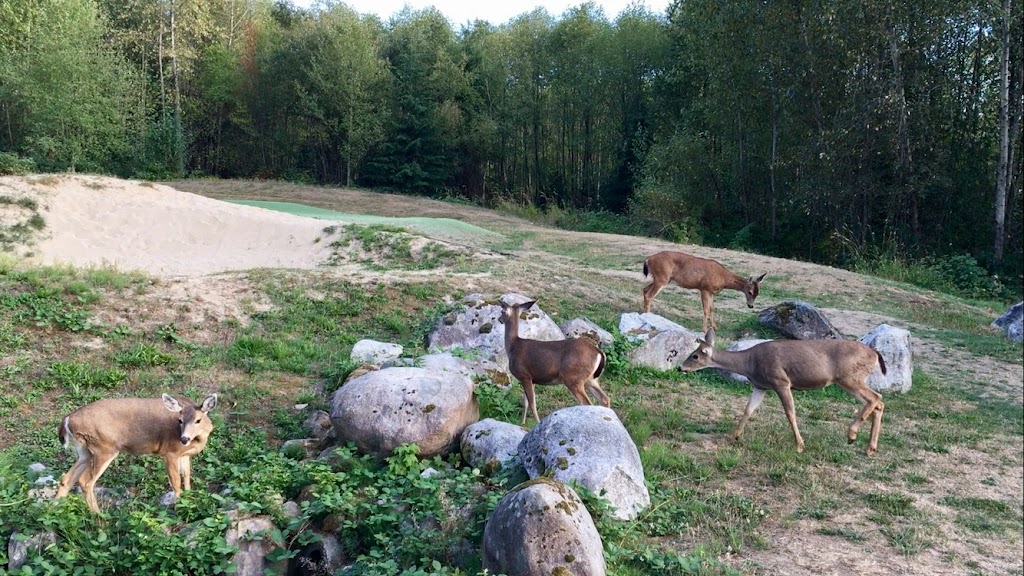 Matt Daniel Elite Golf Academy | 700 Apex Ave, North Vancouver, BC V7H 2R5, Canada | Phone: (604) 518-5783