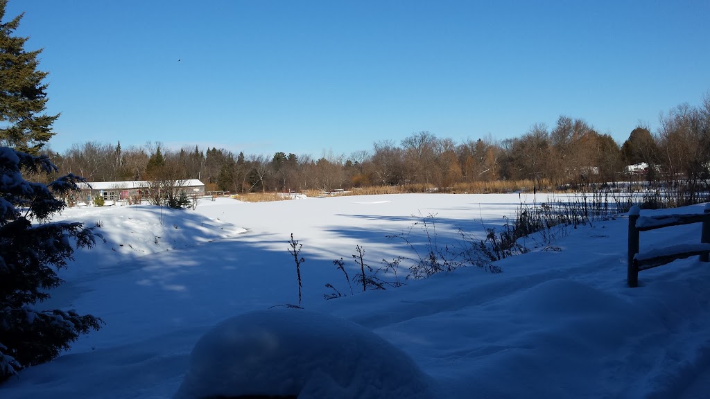 Bare Oaks Family Naturist Park | 20237 Kennedy Rd, Sharon, ON L0G 1V0, Canada | Phone: (905) 473-6060