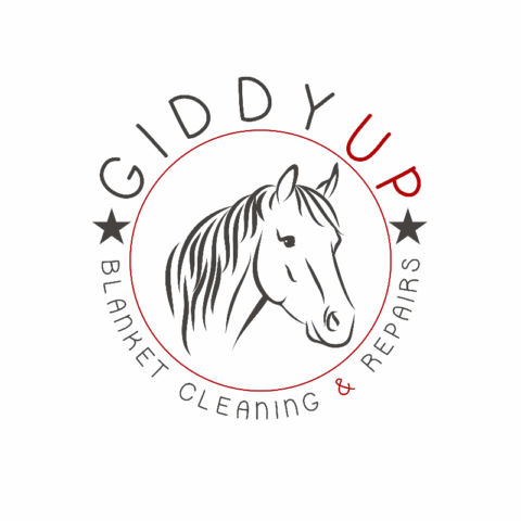 Giddy Up | 299 Sunvale Dr SE, Calgary, AB T2X 3B8, Canada | Phone: (403) 479-8334