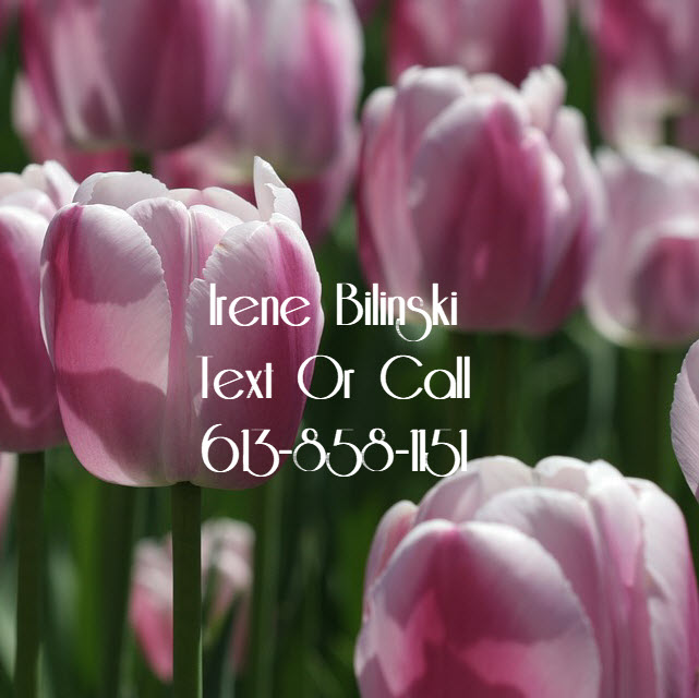 Irene Bilinski | Salesperson | Remax Hallmark Realty Group | 4366 Innes Rd, Orléans, ON K4A 3W3, Canada | Phone: (613) 858-1151