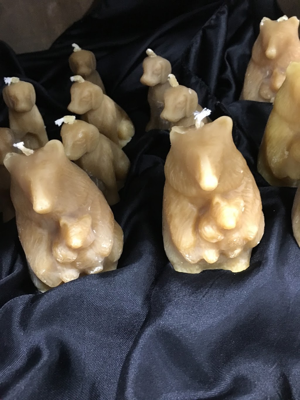 Fernstone Naturals | 10th concession, Stayner, ON L0M 1S0, Canada | Phone: (705) 816-2337