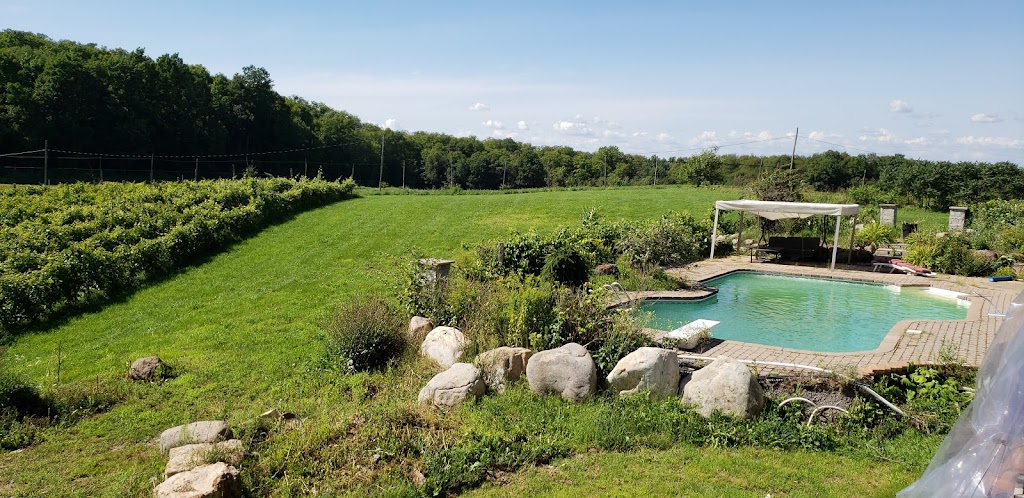 Vignoble dOka | 300 Rang St Ambroise, Oka, QC J0N 1E0, Canada | Phone: (514) 791-7020