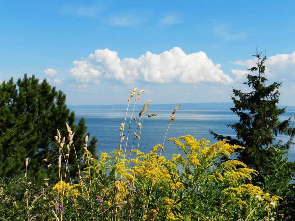 Motel La Baleine | 274 Chemin de la Baleine, La Baleine, QC G0A 2A0, Canada | Phone: (418) 438-2453