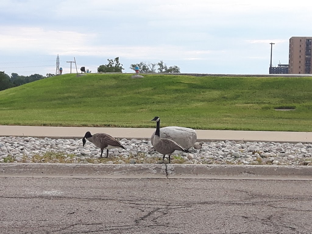 LHSC - Parking Lot P3 | 800 Commissioners Rd E, London, ON N6A 5W9, Canada | Phone: (519) 433-7511