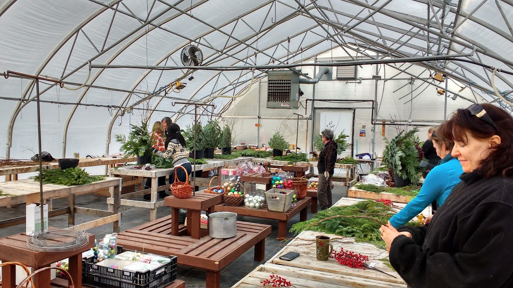 Dragonfly Greenhouse | Clearwater County, AB T0M 0M0, Canada | Phone: (403) 846-4476