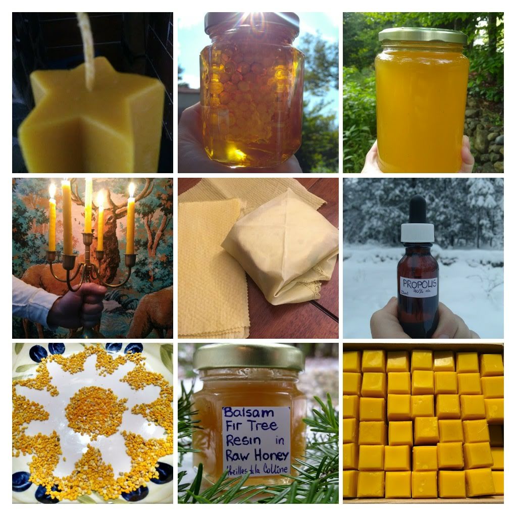 Abeilles de la Colline | Chem. Tamaracouta, Mille-Isles, QC J0R 1A0, Canada | Phone: (514) 603-9520