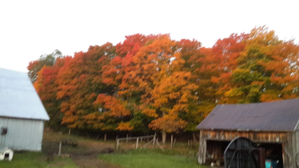 Ferme Picardier | 27 QC-323, Brébeuf, QC J0T 1B0, Canada | Phone: (819) 425-8922