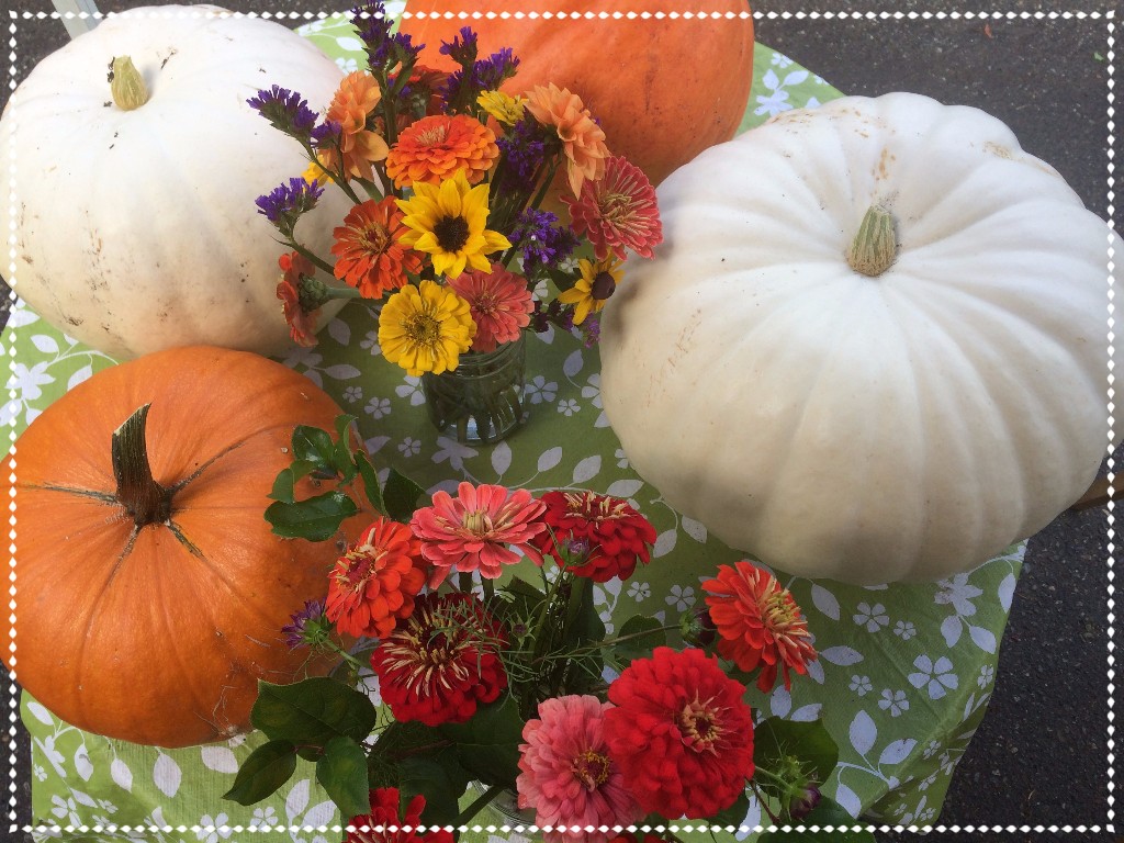 Kingfisher Farm Market | 512 172 St, Surrey, BC V3Z 9R3, Canada | Phone: (604) 560-1405