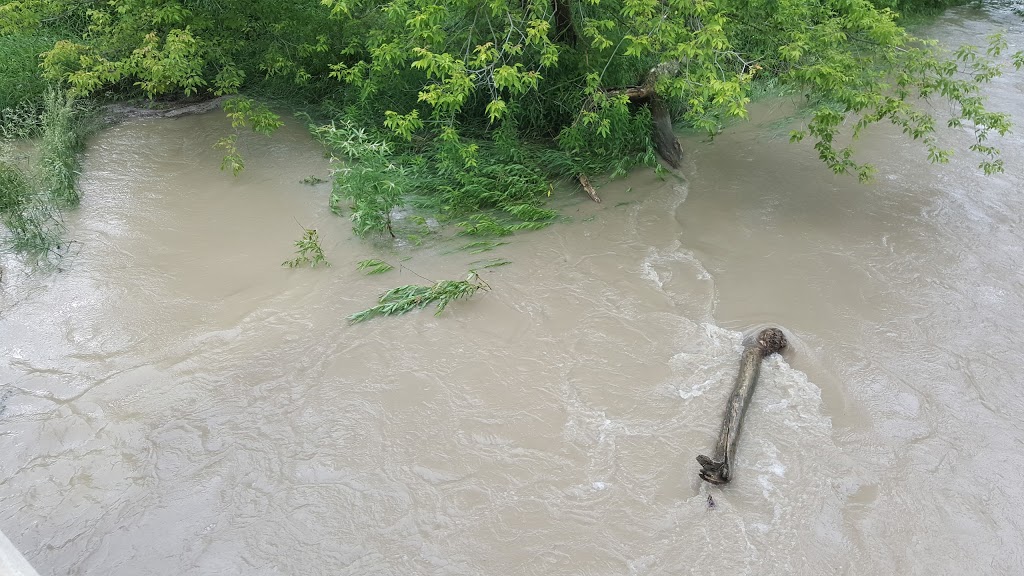 Bowmanville Creek South Parking Lot | 95 Baseline Rd W, Bowmanville, ON L1C 5G3, Canada