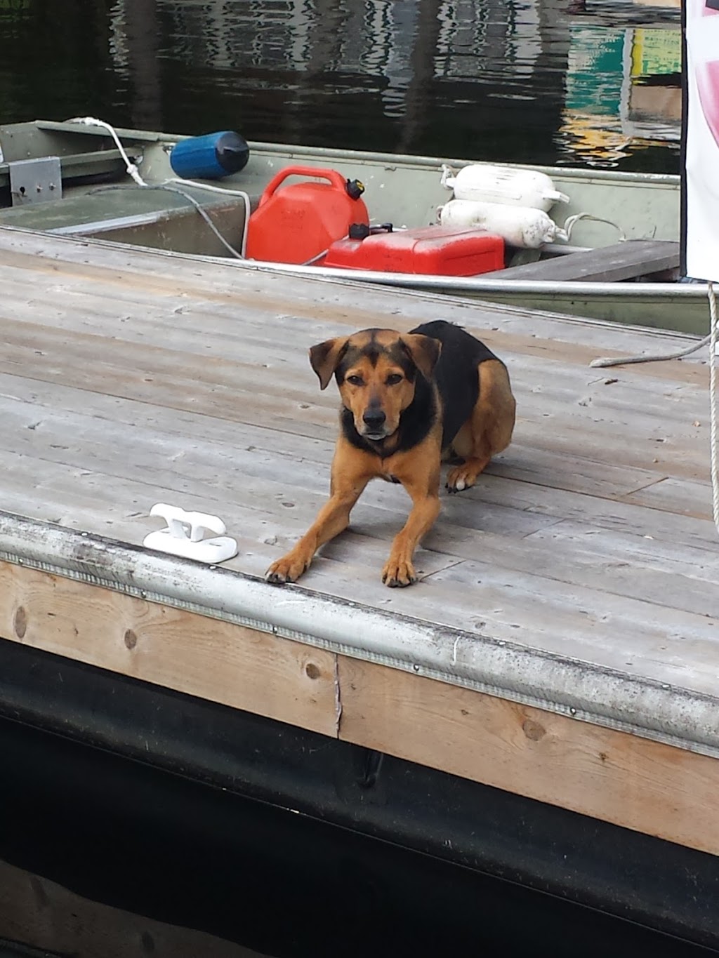 Lakeshore Landing Marina | 1072 Lakeshore Dr, Gravenhurst, ON P1P 1R2, Canada | Phone: (705) 706-2119