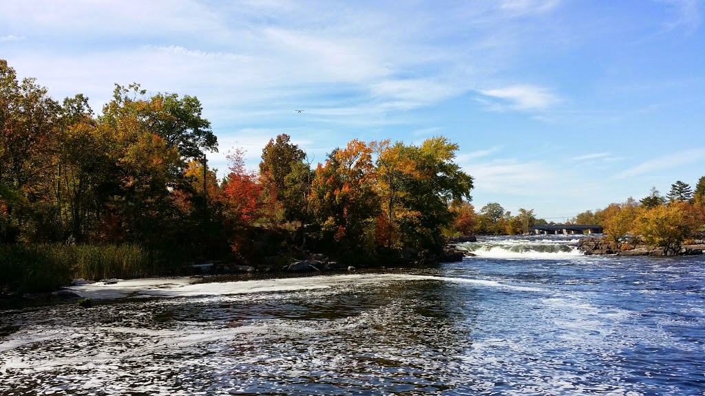 Stellas Getaway | 4699 ON-28, Harcourt, ON K0L 1K0, Canada | Phone: (705) 931-3101